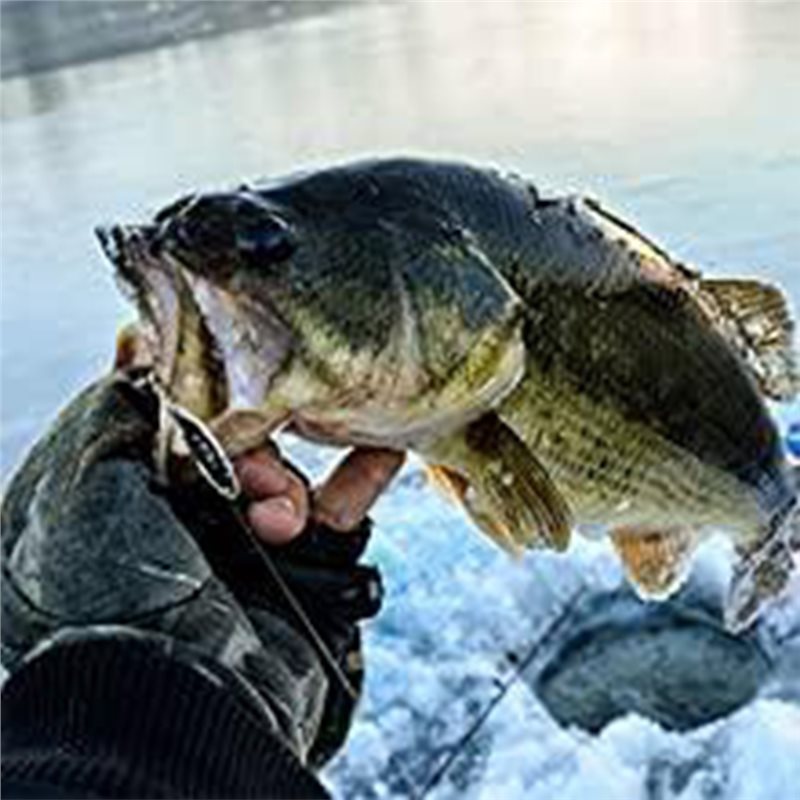 ABUE-Kayak Portable Fish Depth – Fishing Boat Depth Finder Bewertung und Preis